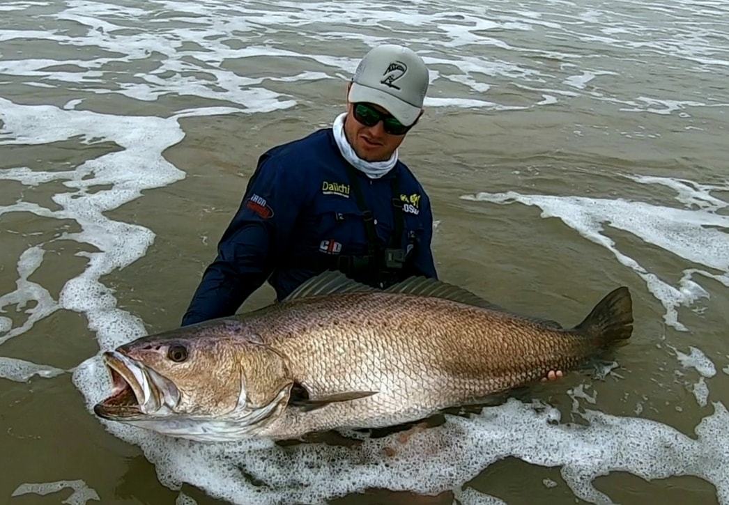 Boer Kabeljou Stil Fishing boer-kabeljou-stil-fishing