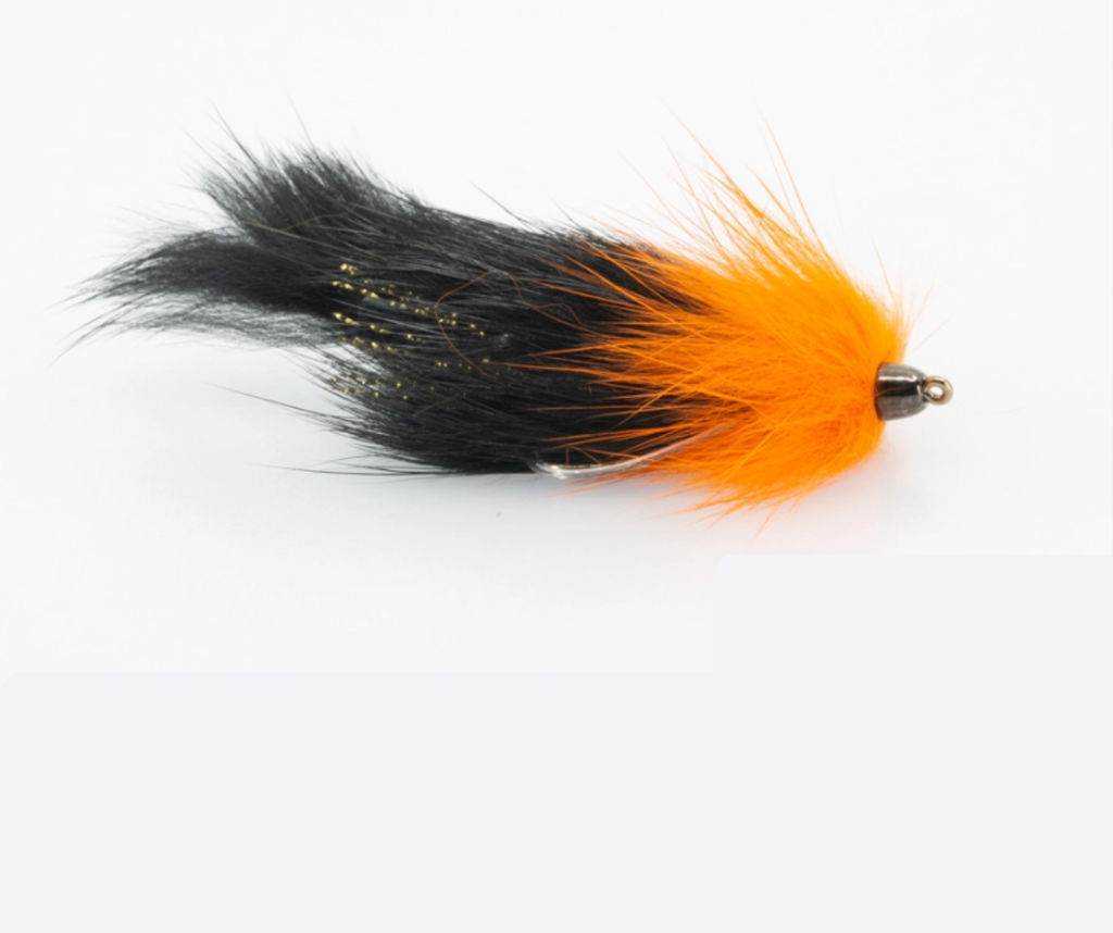 SciFlies Largie Leech