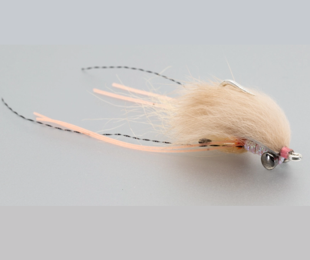 SciFlies Spawn Shrimp