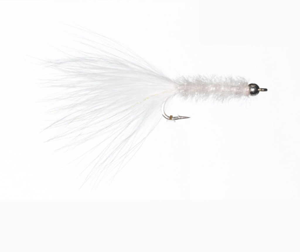 SciFlies Salty Bugger #6