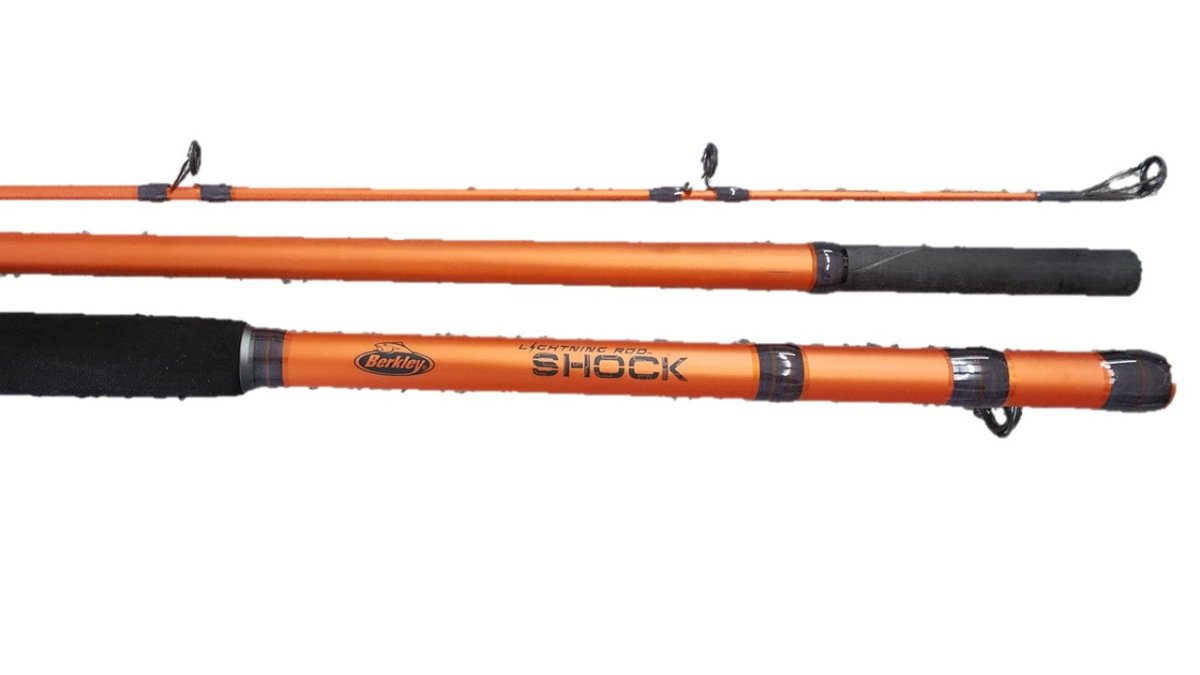 Group Of Four Assorted Surf Rod Fishing Poles